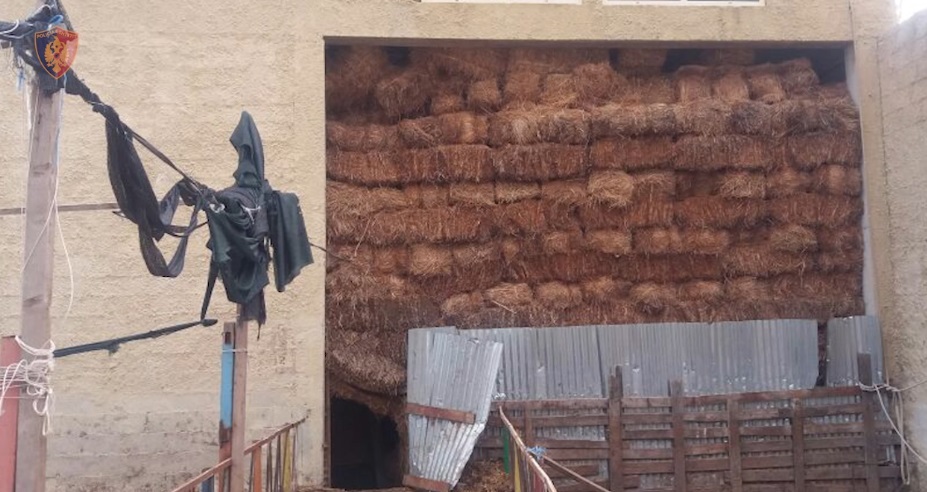 Laboratori i drogës/ Zbardhet dëshmia e punonjësve: Po ndërtonim një pulari