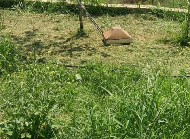 EMRI/ 35-vjeçari humb jetën, e zë korenti teksa po korrte barin