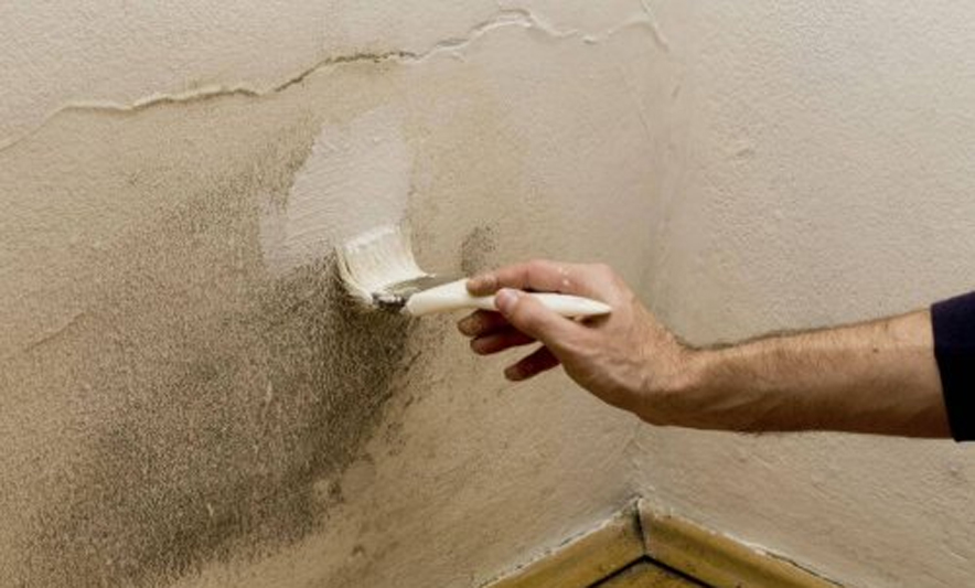 Mënyrat për të eliminuar lagështirën në shtëpi