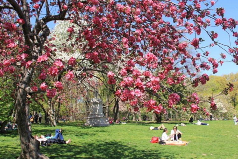 Parashikimi i motit, e mërkurë 2 maj