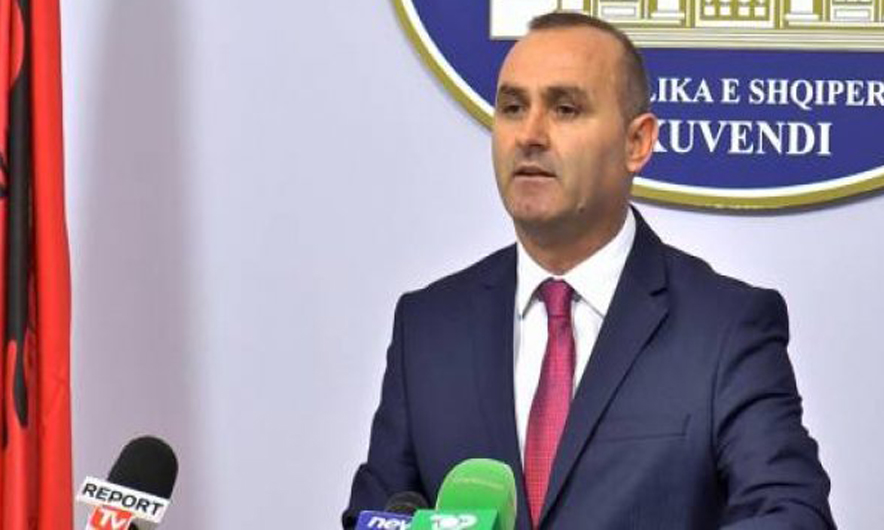 Neni për ekstradimet, Manja: Ka qenë në draftin e diskutimeve