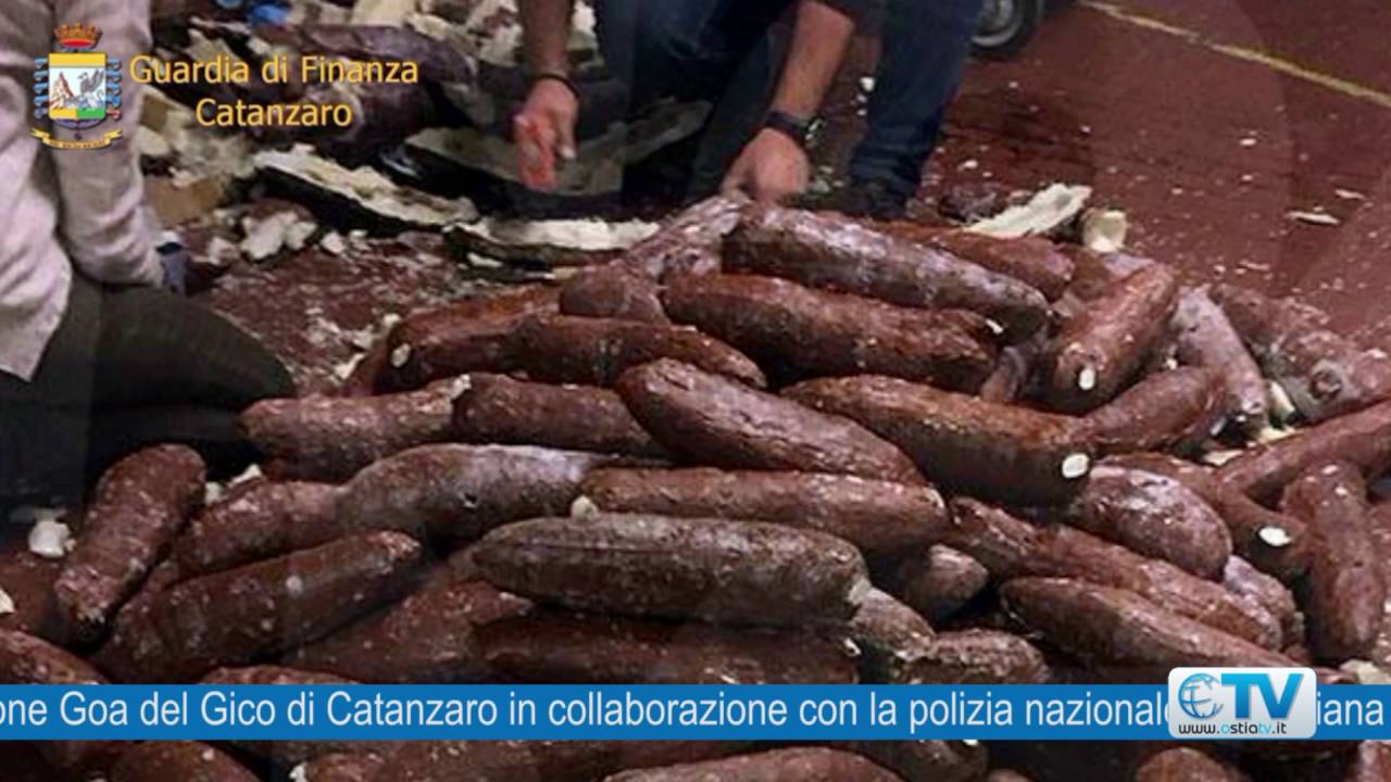 Shkatërrohet banda e drogës, në pranga edhe një shqiptar