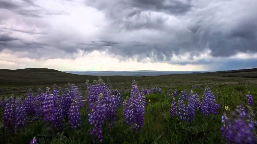 Parashikimi i motit, e diel 6 maj