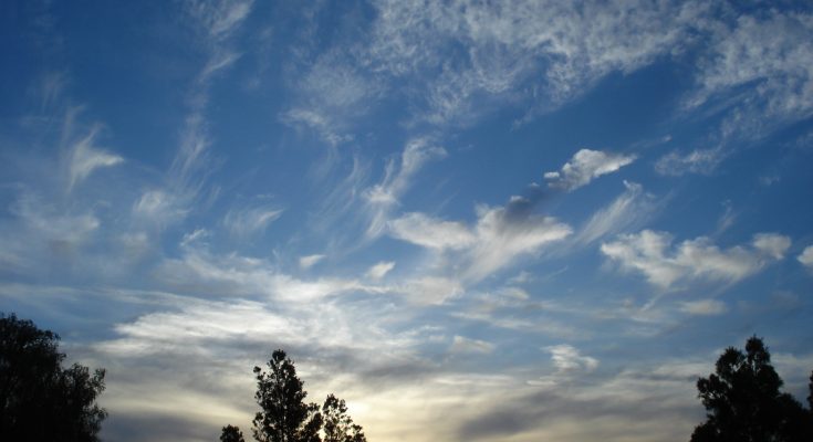 Parashikimi i motit, e martë 8 maj