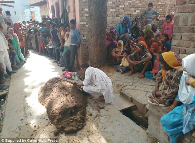 E pazakontë/ Mbyt padashje gruan me jashtëqitje lope, po tentonte ta shëronte nga pickimi i gjarpërit