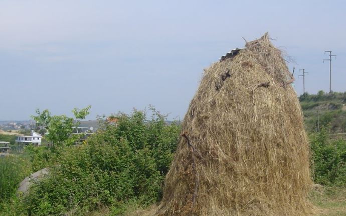 Rrëzohet nga mullari me bar, vdes 23-vjeçari