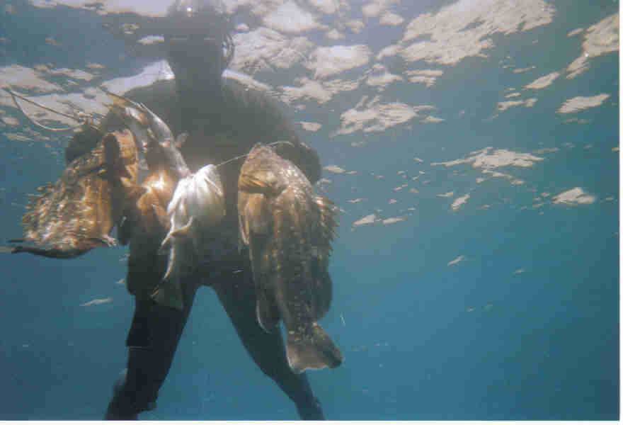 Zhytësi i vjetër durrsak: Çudia më e madhe që ndodh në Durrësin tonë është absurde