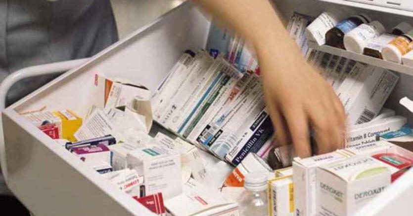 I moshuari e përndjek, farmacistja pëson trompozë