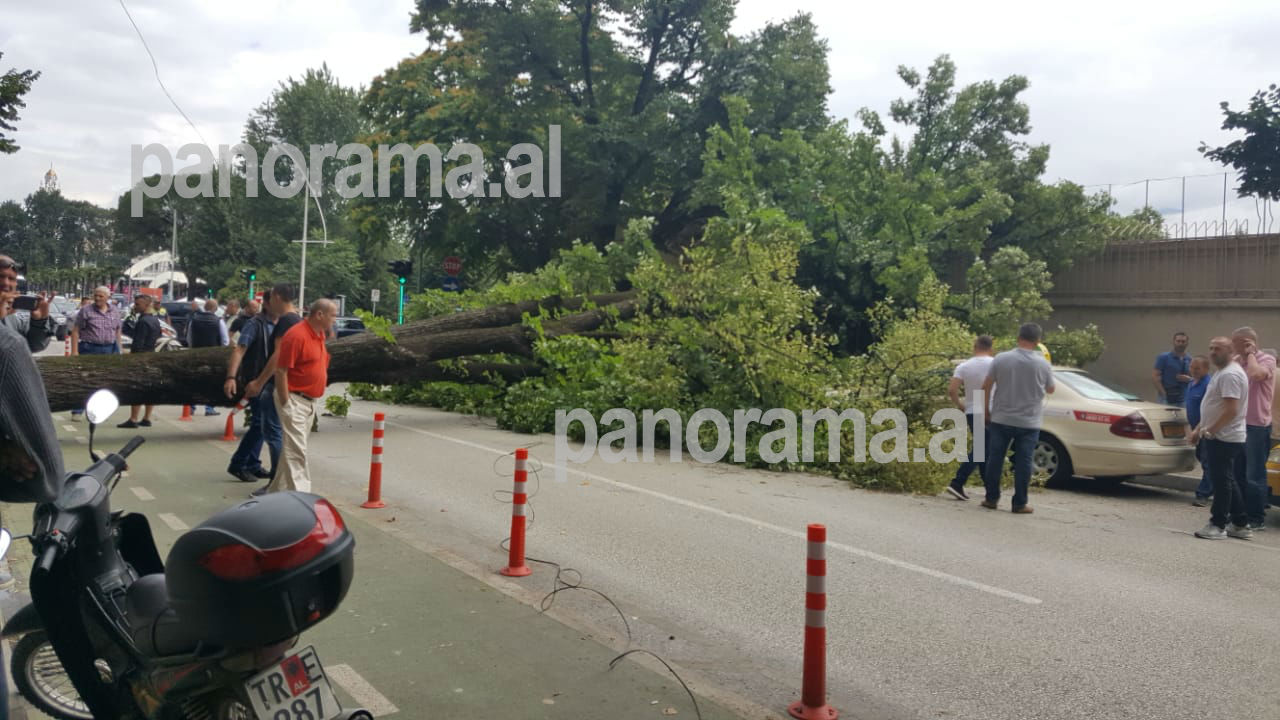 Bie pema dhjetëra vjeçare në ish-Bllok, zë poshtë taksinë (FOTO)