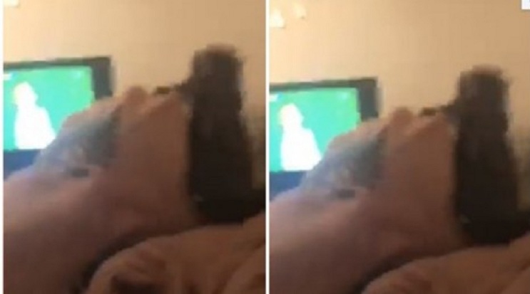 Festa e çmendur e tifozit shqiptar, gjuan me armë në shtëpi pas golit të Shaqirit (VIDEO)