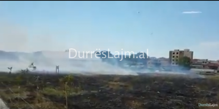 Durrës, banorët iu vënë zjarrin tokave bujqësore (VIDEO)