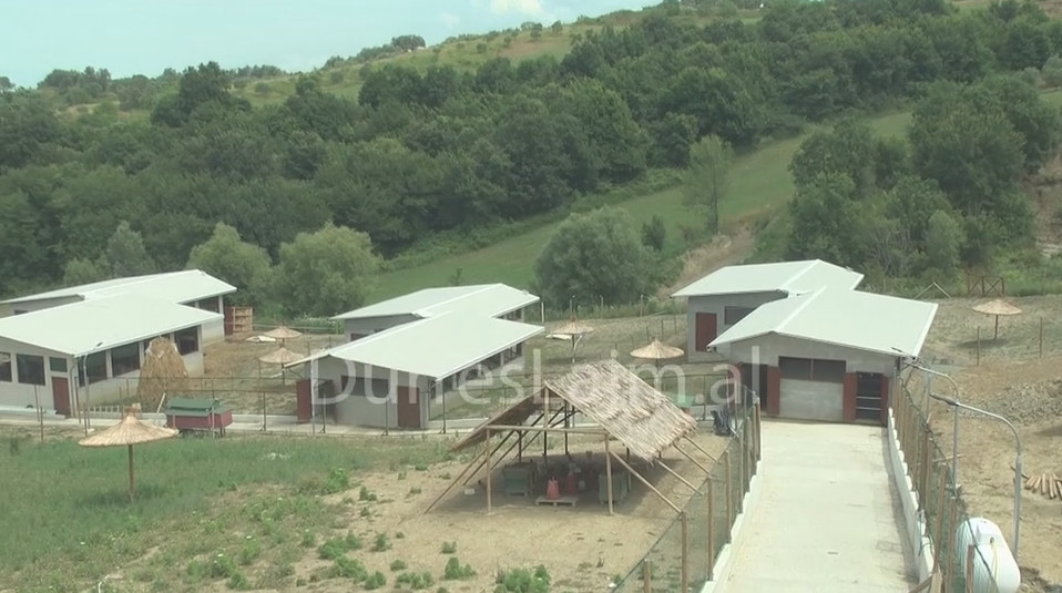 Një destinacion për të mos u humbur në Durrës, zbuloni “Pemën e jetës” (VIDEO)