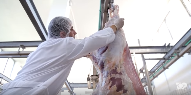 Investigimi tronditës, çfarë hanë shqiptarët?!