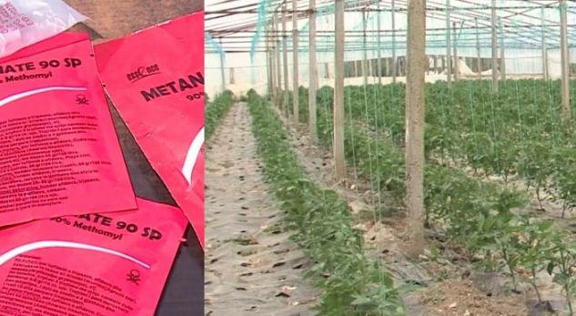 Fermerët ia hedhin perimeve e frutave, ky është pesticidi që po helmon shqiptarët