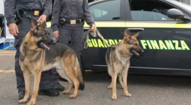 Arrestohen dy shqiptarë me kokainë në Itali