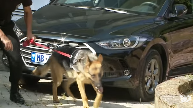 Xhina që ruan Vetting-un