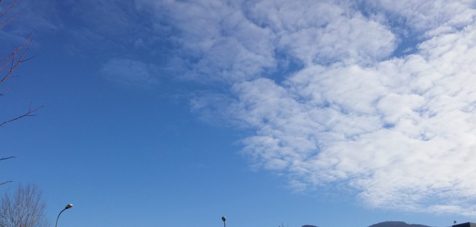 Parashikimi i motit, e martë 17 korrik