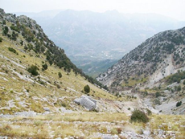 Punonjësi i Antidrogës rrëzohet nga mali