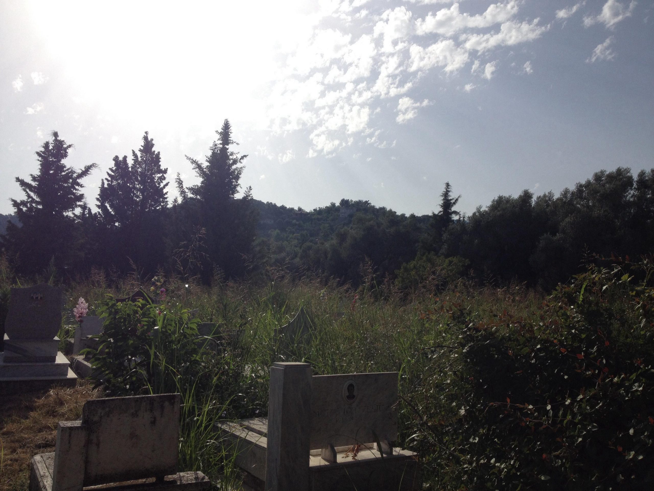 Tmerri në varrezat e Elbasanit: S’po gjejmë varret e të afërmeve tanë, u neveritëm!