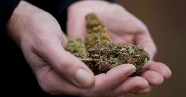 FOTO/ Gjykohet për kanabis në Angli, 28-vjeçari: Në Shqipëri më kërcënojnë për borxhet