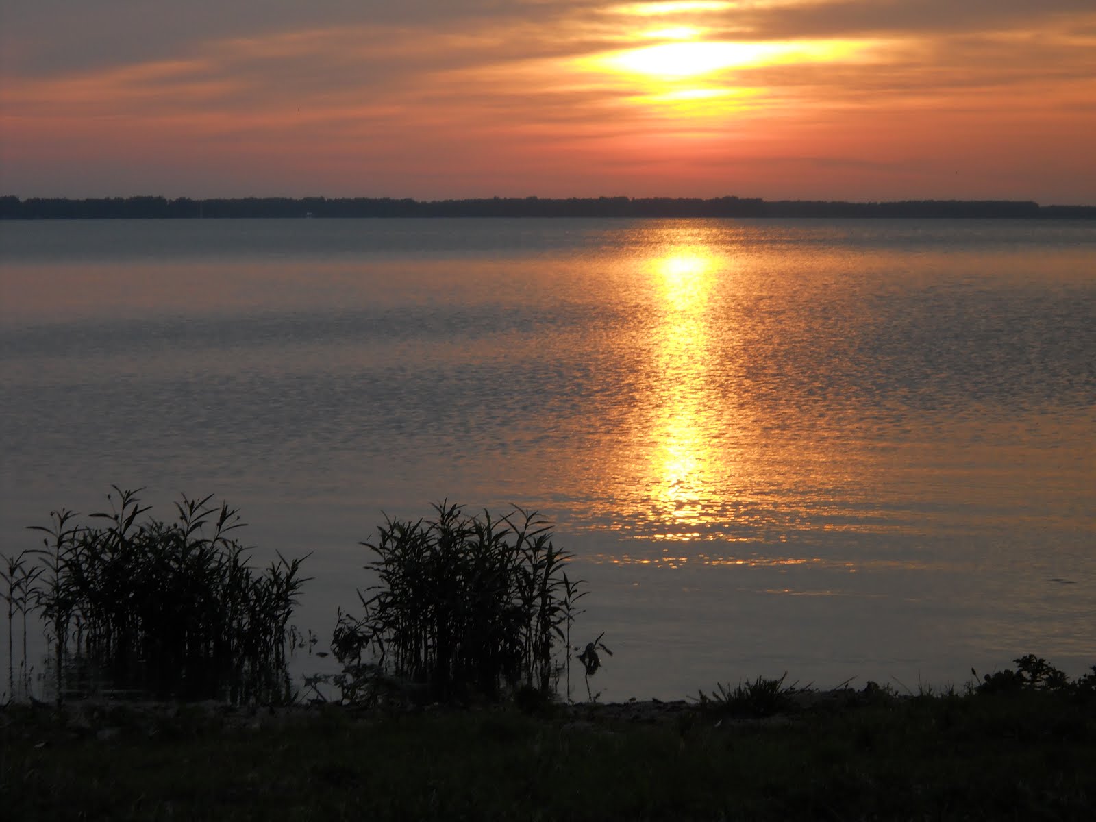 Parashikimi i motit, e premte 27 korrik 2018