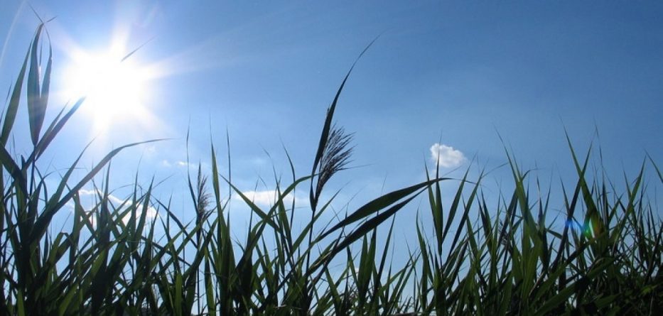 Parashikimi i motit, e mërkurë 4 korrik