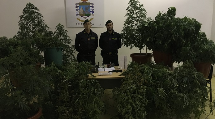 Zbulohet një plantacion me marijuanë në Itali, në pranga kultivuesit shqiptarë