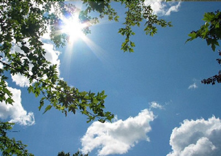 Parashikimi i motit, e hënë 9 korrik