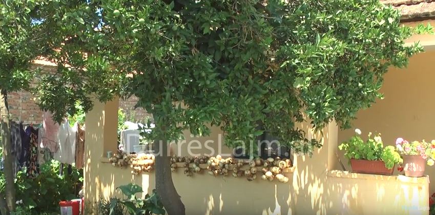 Historia e familjes Dervishi/ Papunësia i detyroi të braktisnin Durrësin e të jetonin në fshat (VIDEO)