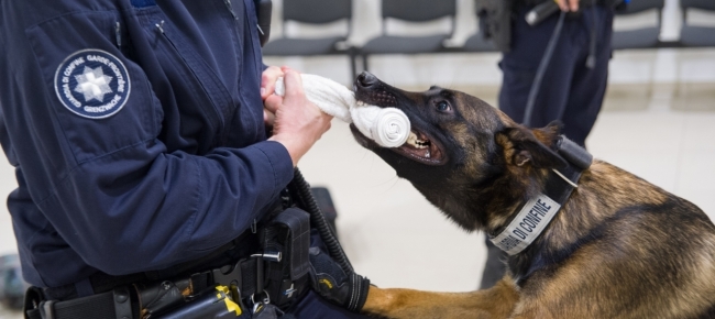 Shqiptari kapet me 1 kg kokainë në makinë, do kalonte kufirin në Zvicër