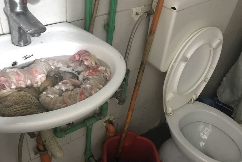 Mish keci me mungesë higjiene, AKU gjobit 3 kasapë