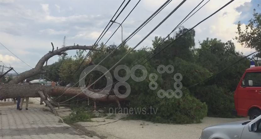 Pisha zë poshtë mjetin me çiftin e bashkëshortëve dhe fëmijën e mitur