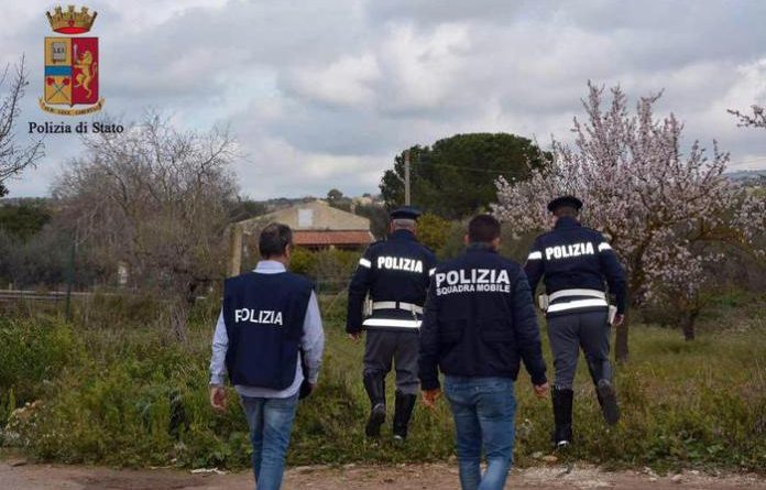 Marijuanë mes serës me domate, kontrolli i rastësishëm fundos dy shqiptarët