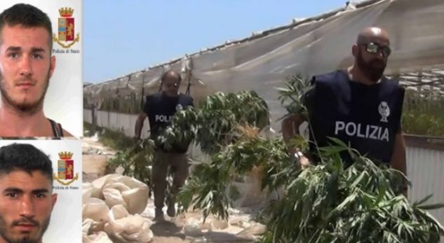 Kush janë dy shqiptarët që kultivonin drogë mes domateve? (VIDEO)