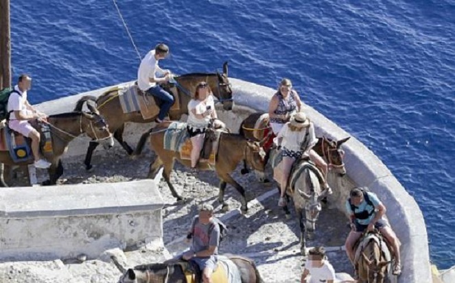 Kur gomerët përdoren për taksi