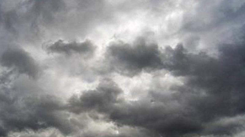 Parashikimi i motit, 23 korrik 2018