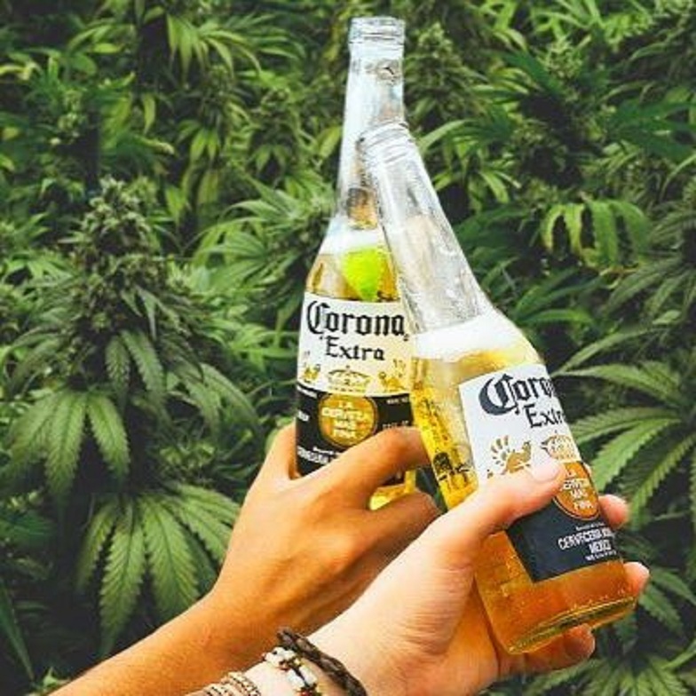 “Corona” investon 4 bilionë dollarë për birrë me shije kanabisi