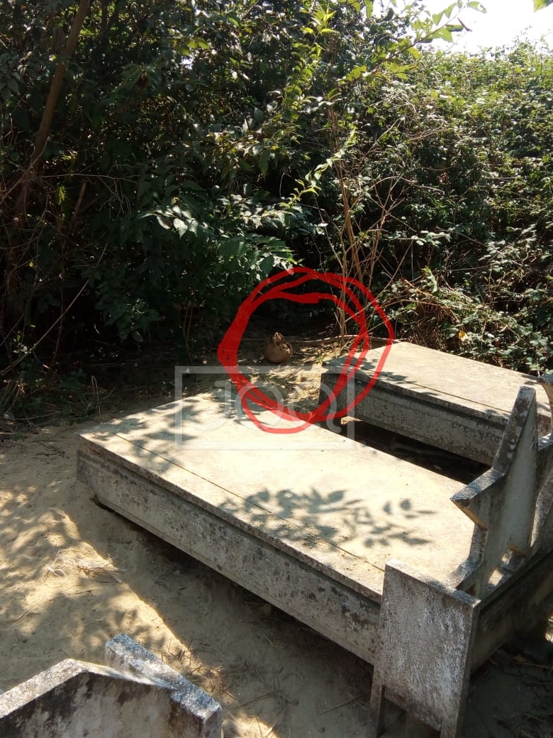 Pamje të frikshme nga varrezat e Divjakës, kufomat nxirren jashtë (FOTO)