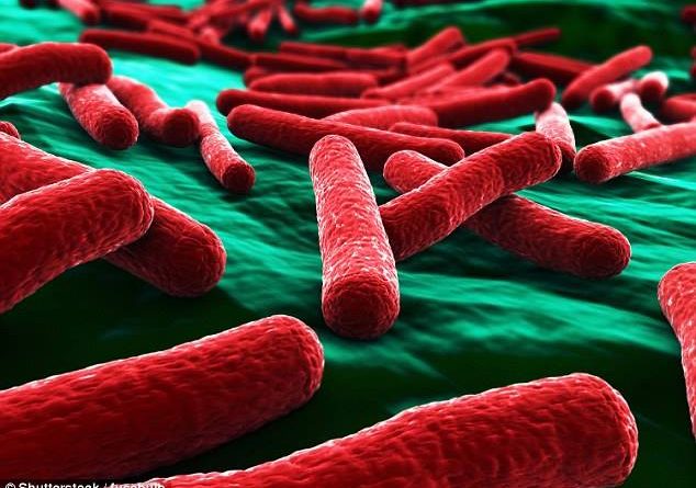 Bakteri i rrezikshëm që mund të parandalojë sëmundjen tek njerëzit