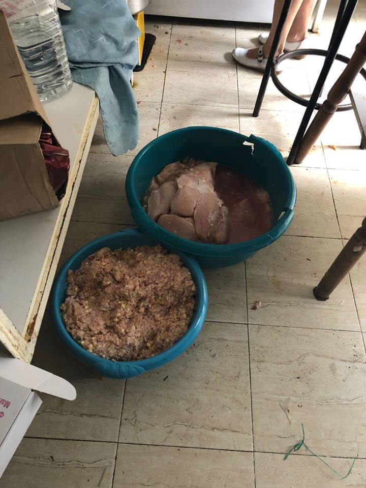 Përpunohej në kushte skandaloze brenda një llotoje, AKU bllokon 1.6 tonë mish