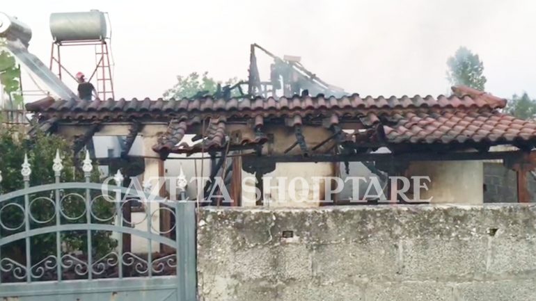 Dogji shtëpinë, gruaja rrëfen pse tentoi të mbyste vajzat binjake