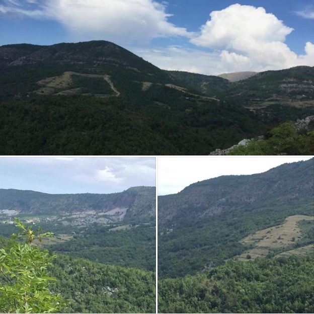 Berisha publikon fotot e parcelave me kanabis në Krujë