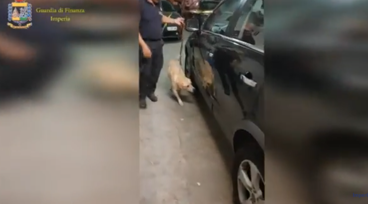 Çifti shqiptar kapet me 290 mijë euro, i kishin fshehur në makinë (VIDEO)