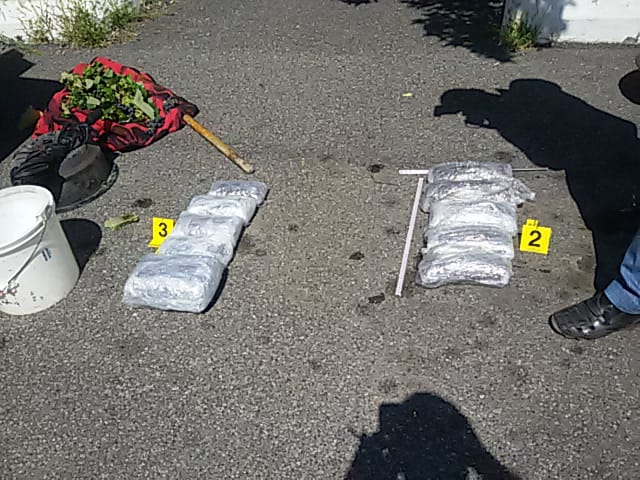 Sekuestrohen 7 kg kanabis, në pranga 37-vjeçari, hetohet dhe pasagjerja (VIDEO)