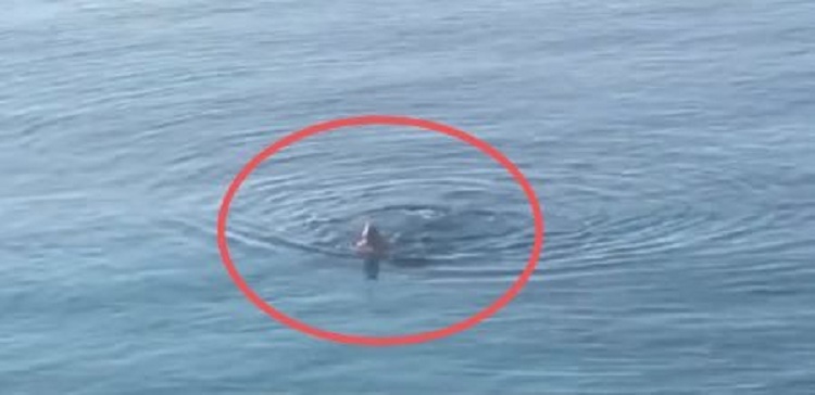 Rama si “Berisha”, ja çfarë postoi këtë mëngjes kryeministri