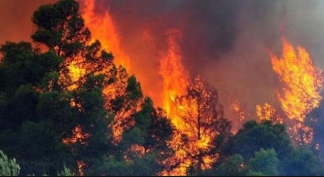 Alarmi nga zjarret, këto janë pesë qarqet më të rrezikuara