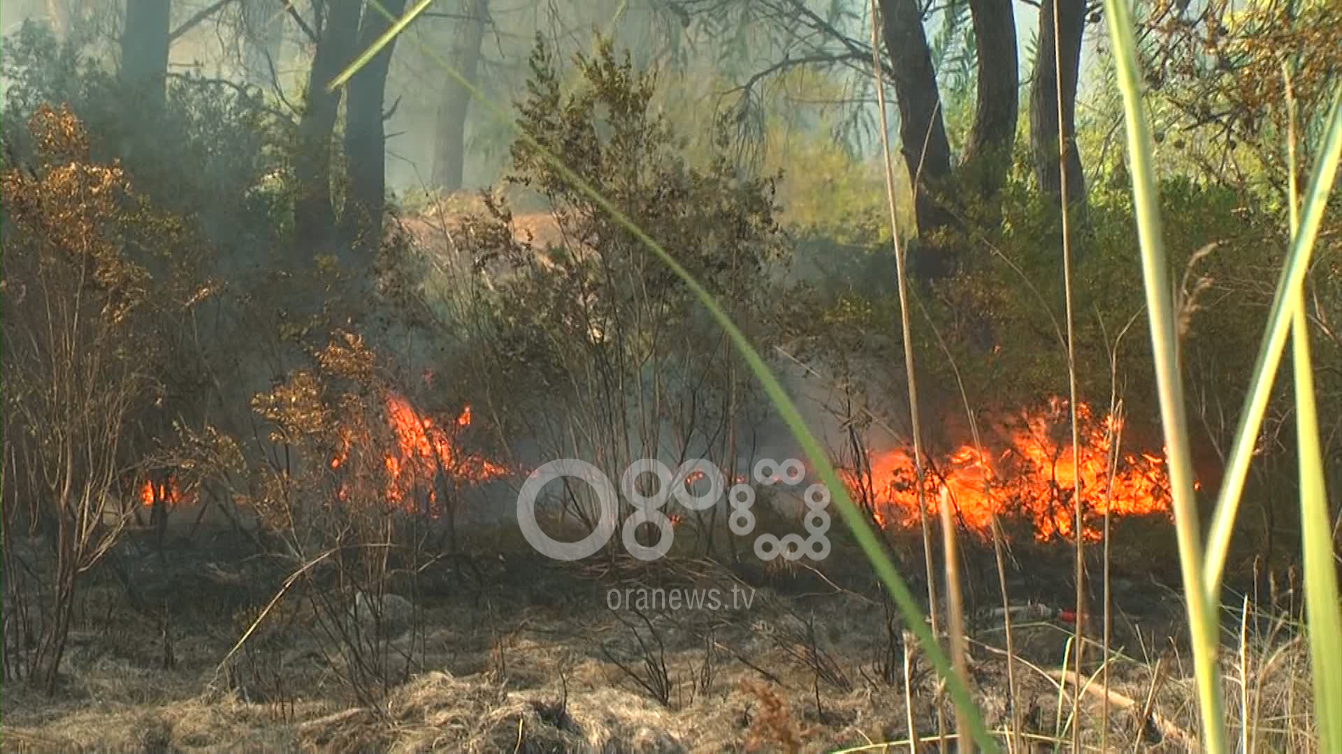 Helikopteri i FA ndërhyn për shuarjen e zjarrit në pyllin e Semanit