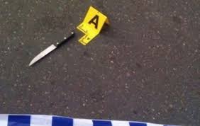 Plagos me thikë 50-vjeçarin, kapet autori