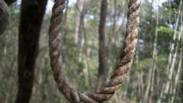 Gruaja gjendet e varur në pemë, dyshimet e para