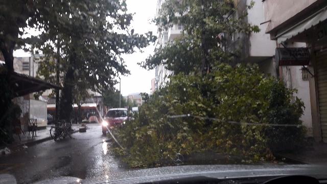 Bien pemët në rrugë, bllokohet aksi “Ura e Leklit”